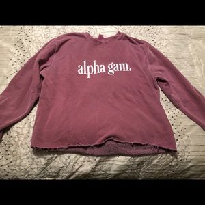 Alpha Gamma Delta Sweatshirt